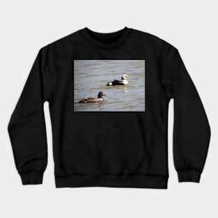 Eiders Crewneck Sweatshirt